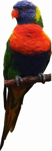 Low Poly parrot