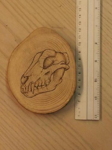 Wolf Skull