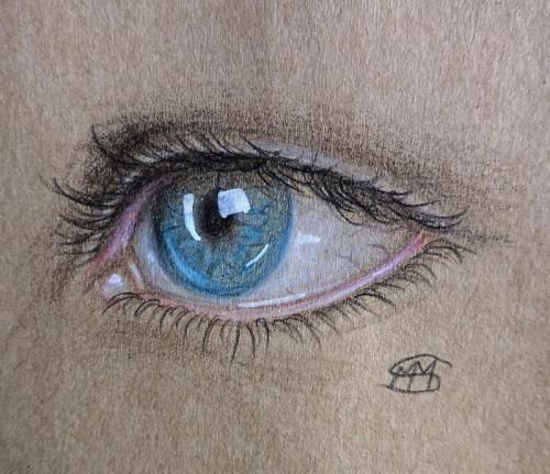 Eye Study